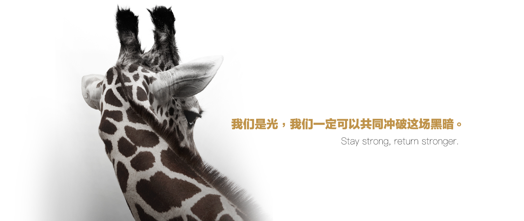 世界上最大的勇气，是压力下的优雅